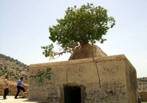 پیربنکی