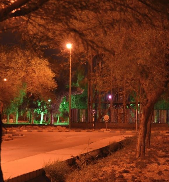 پارک محلی بریم شمالی