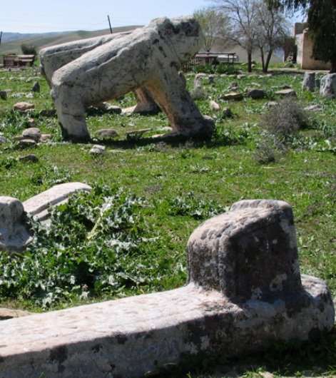 شیرهای سنگی