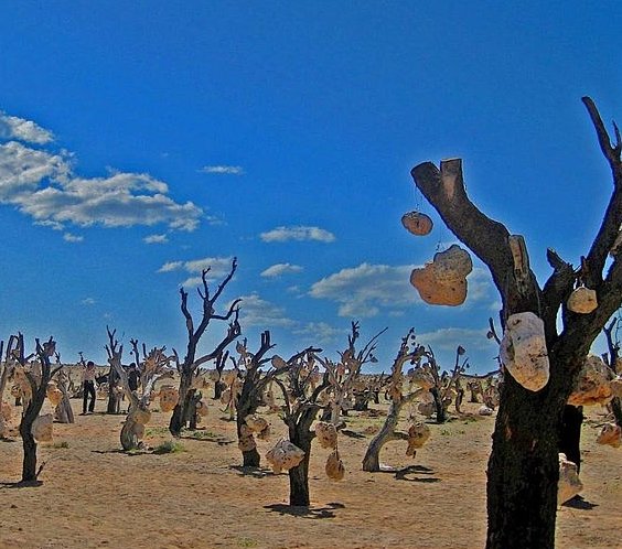 باغ سنگی
