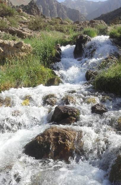 چشمه میشی