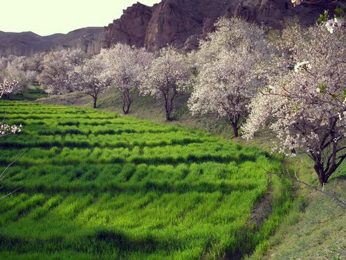 رودخانه حصار