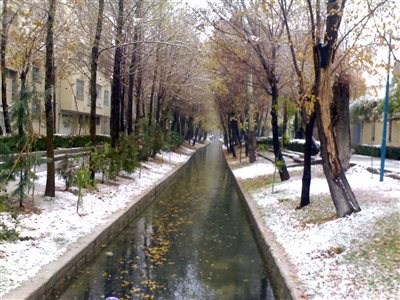 مادی نیاصرم