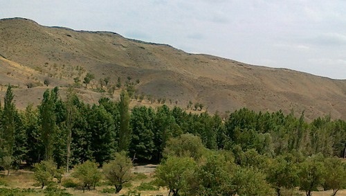 رودخانه دلبر
