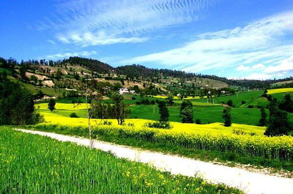 روستای لایی پاسند