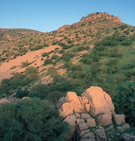 قلعه یزدگرد (زرده)