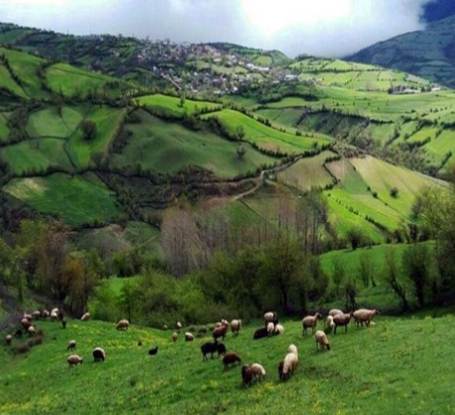 روستای کچپ محله