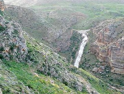 منطقه حفاظت شده بیجار