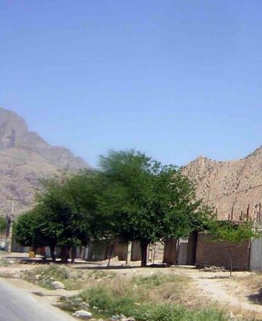 تپه سراب (ناوکش)