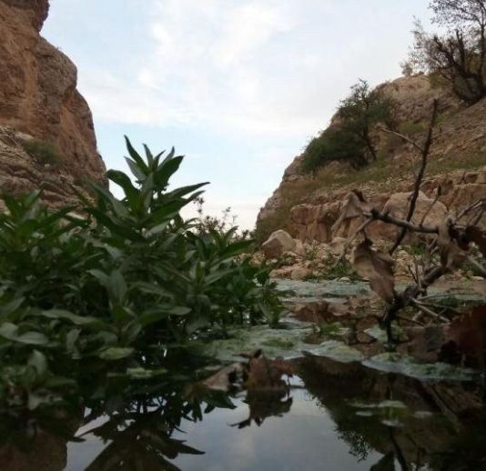 دره دانوک