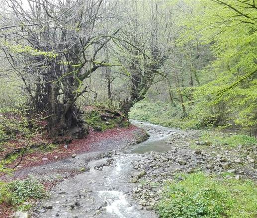 روستای قرن آباد