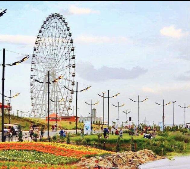 چاوی لاند