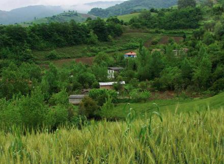 روستای ساسنگ