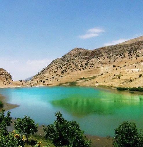 دریاچه مور زرد زیلایی