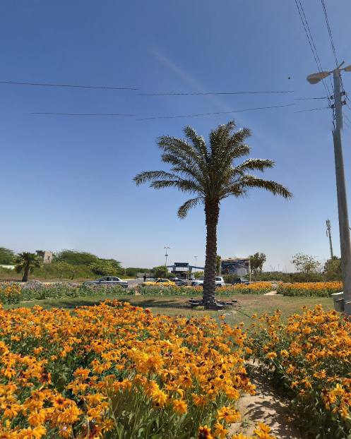 بوستان مرجان