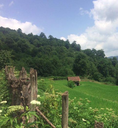 روستای لاجیم