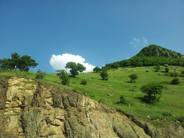 پارک جنگلی مکیدی