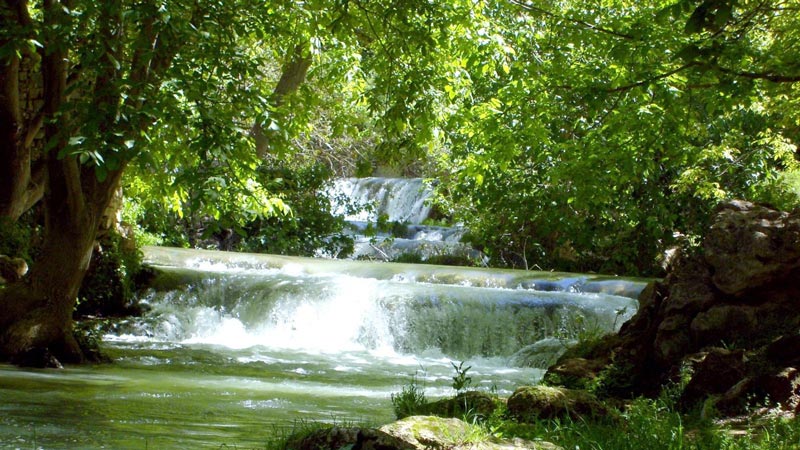 بهشت گمشده