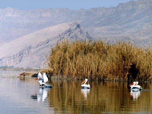 دریاچه پریشان