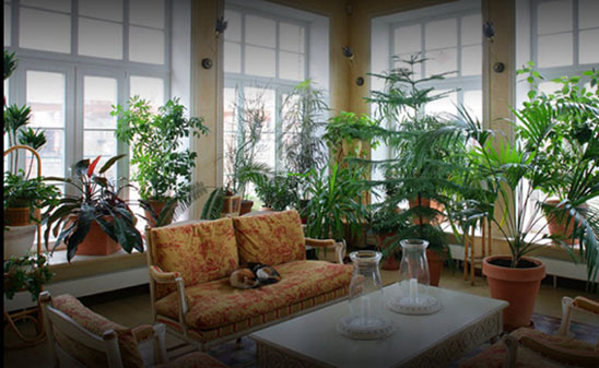  رستوران باغ ایرانی 