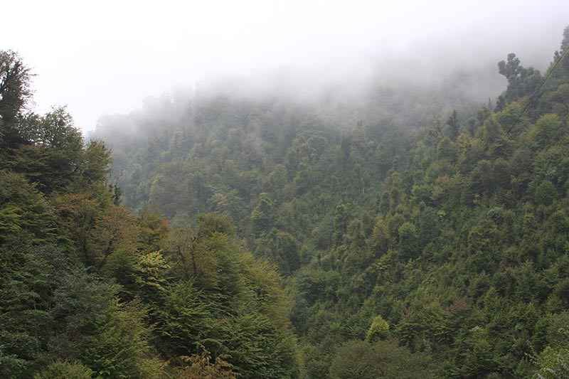 آبشار چسلی