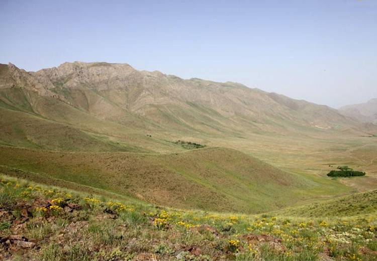 تپه بوقاطی