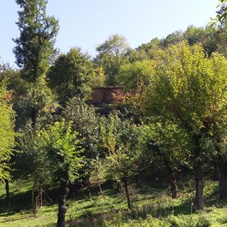 روستای رجن