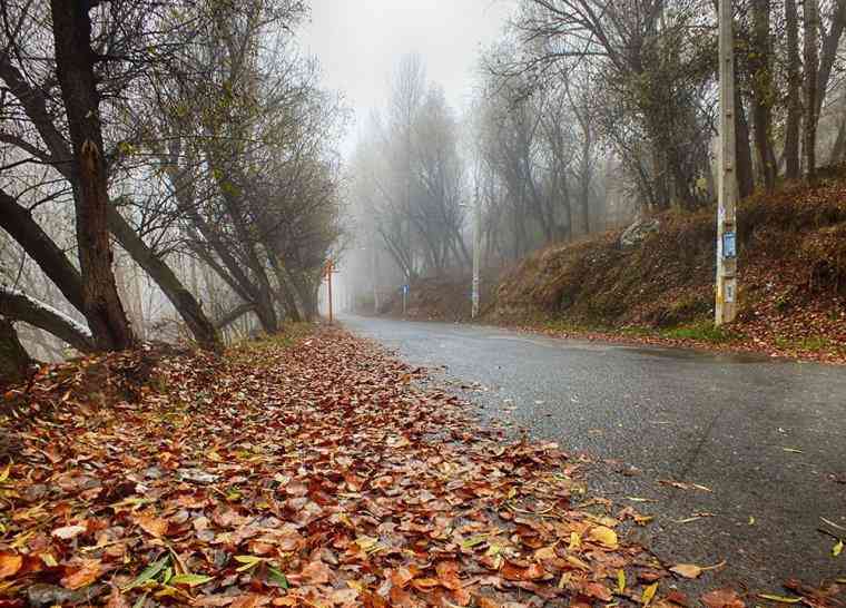 پارک جنگلی خیاوچای