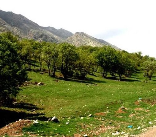 تفرجگاه مخمل کوه (تنگه شبیخون)