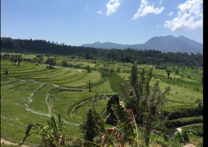 مزرعه ارگانیک ساید بای ساید