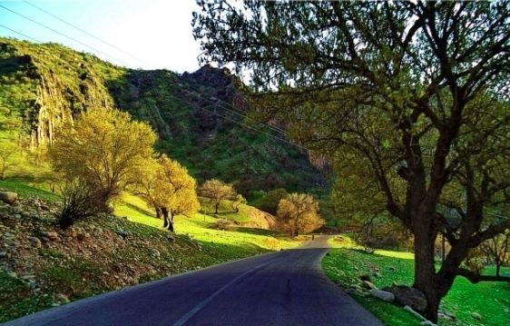 روستای گناوه