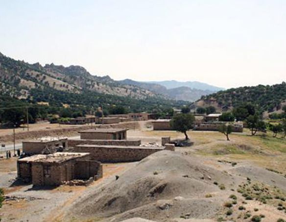 گورستان چنار