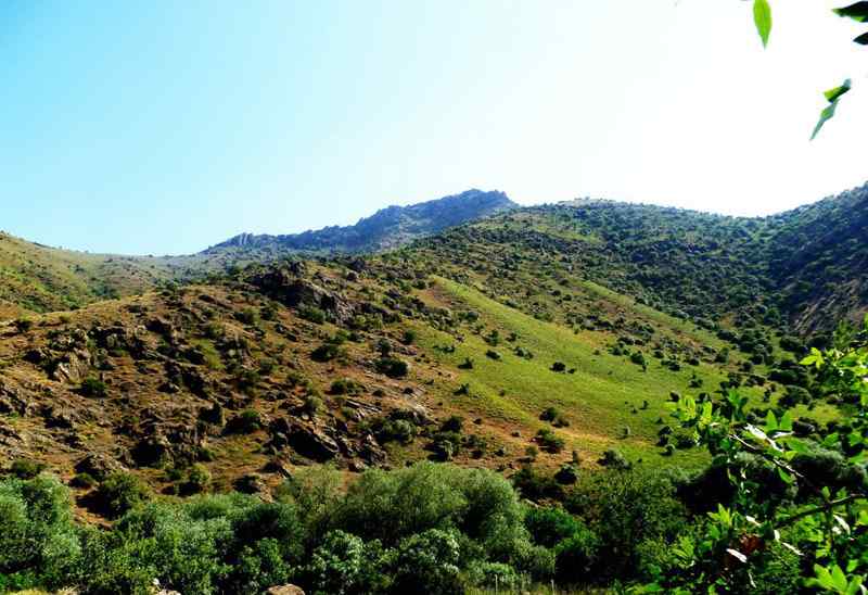 منطقه شکار ممنوع دره قاسملو (خان دره سی)