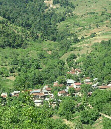 روستای ولو
