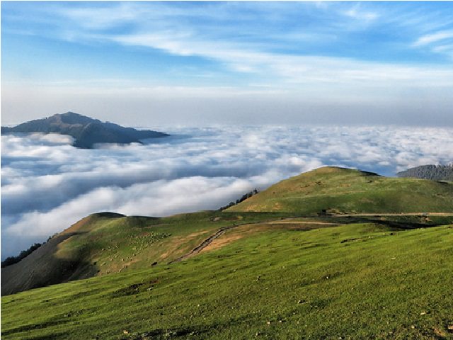 ییلاق سلانسر