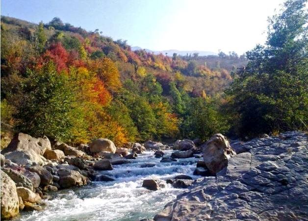 اشکور