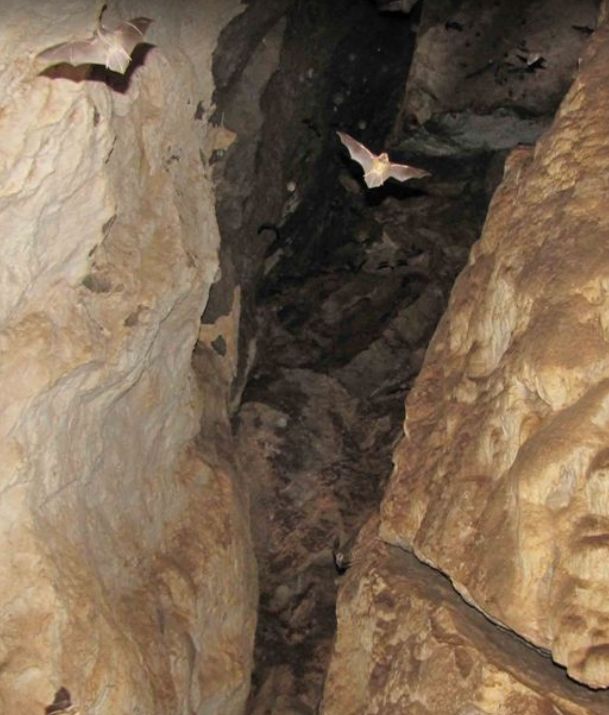 غار زنگیان