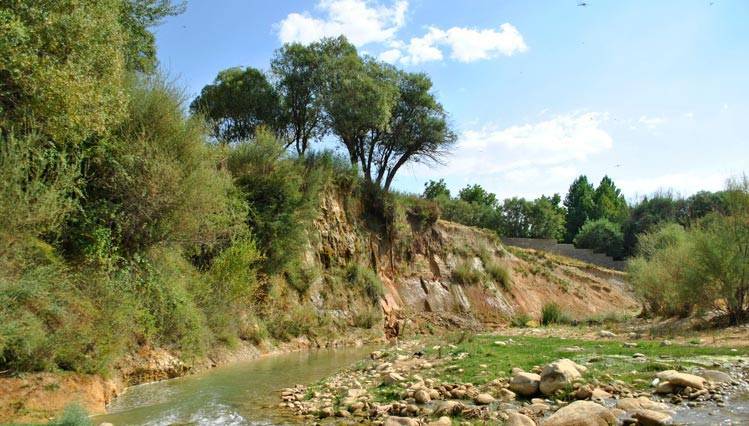 گردشگاه چشمه سلمانی