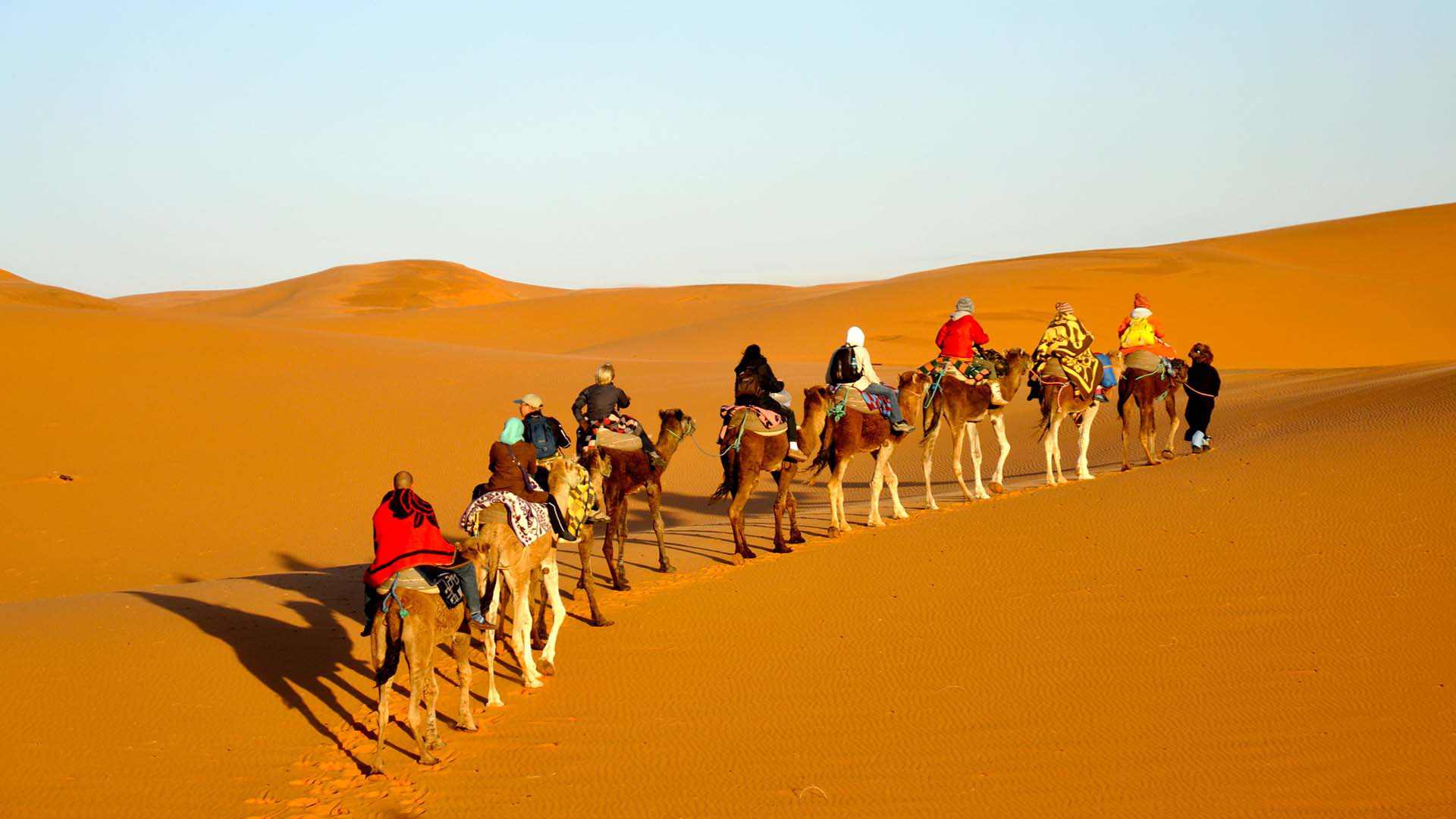 کویر مصر