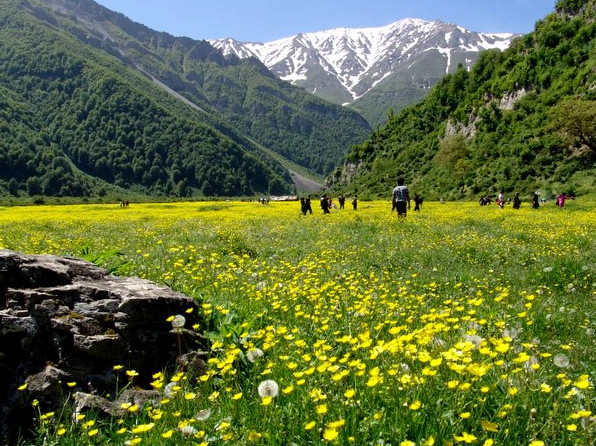 دشت دریاسر