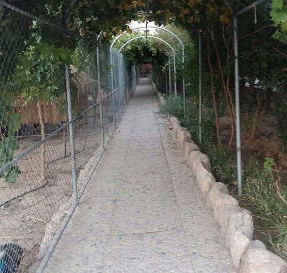 رستوران باغ آهو
