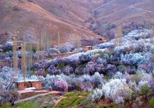 روستای قزاان (کجگون)