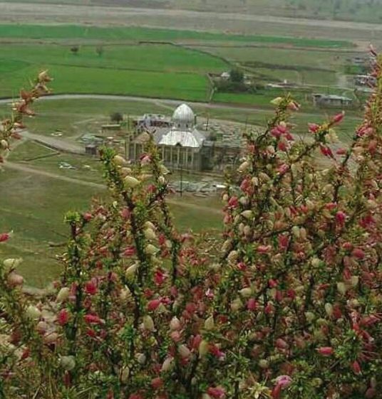 امامزاده سید محمد