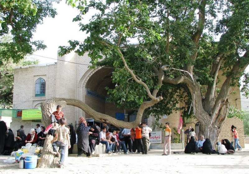 امامزاده محسن
