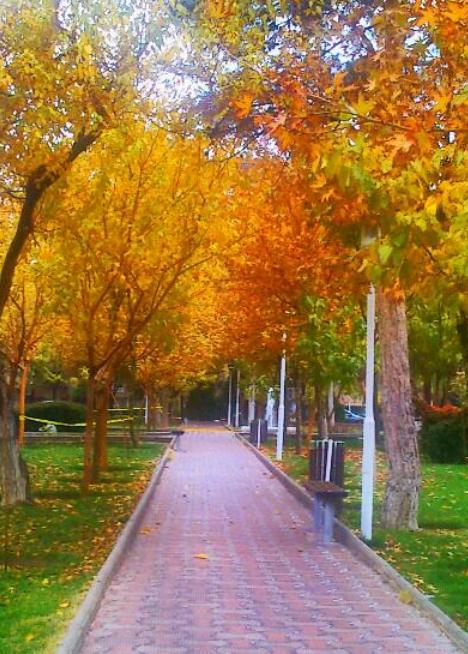 پارک مرداویج
