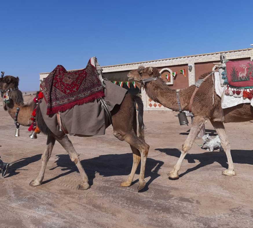مجتمع کویری لیلی ومجنون