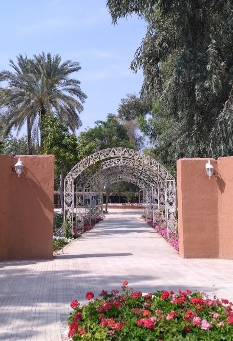 پارک شهید دباغیان(باغ گل ها)