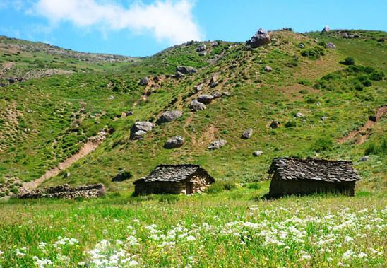 روستای پریجـا (فیروزجاه)