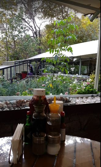 رستوران سنتی مجموعه کوهستان