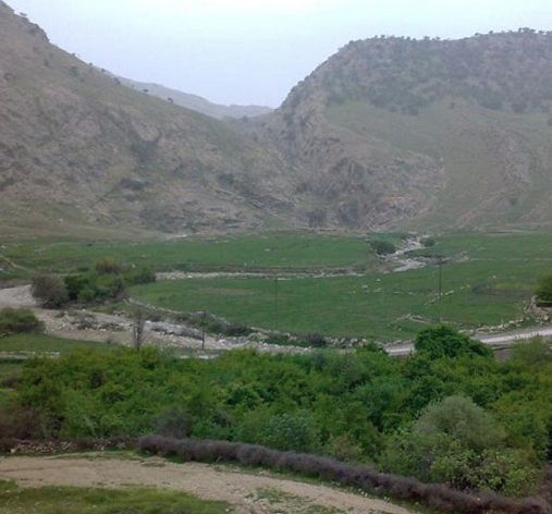 پارک جنگلی تمبی